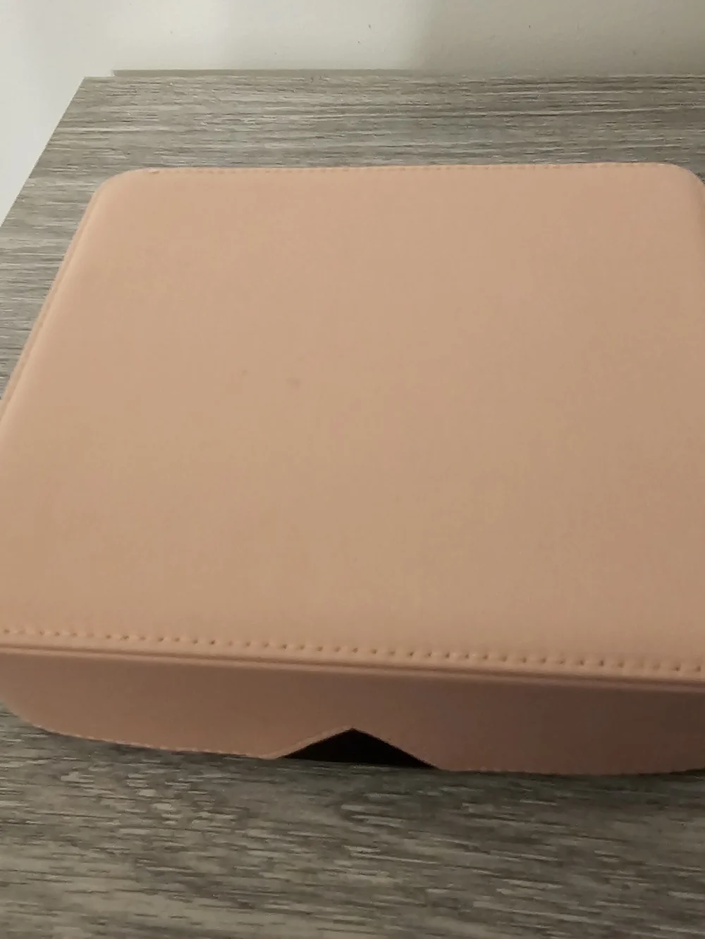 Prada Beauty Black & Pink Travel Case